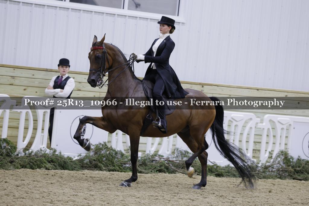 Proof Number 25R13_10966