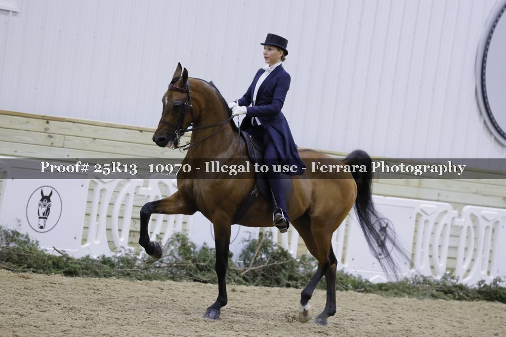 Proof Number 25R13_10970