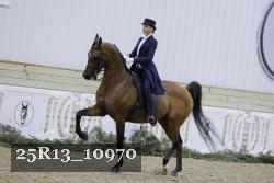 25R13_10970 thumbnail