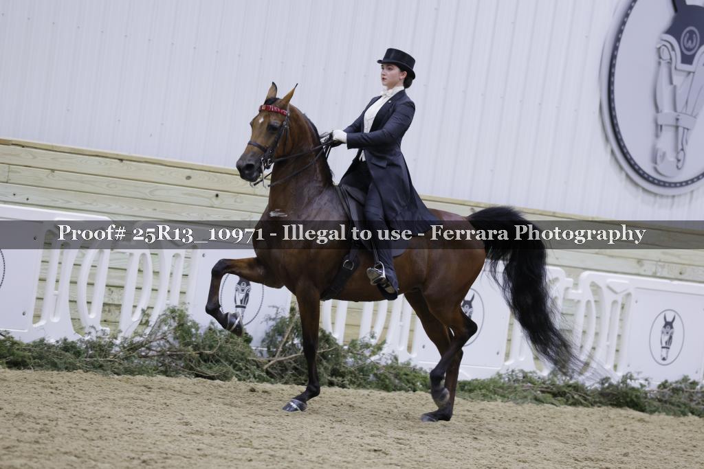 Proof Number 25R13_10971