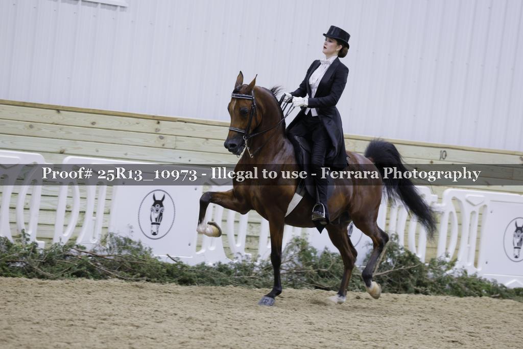 Proof Number 25R13_10973