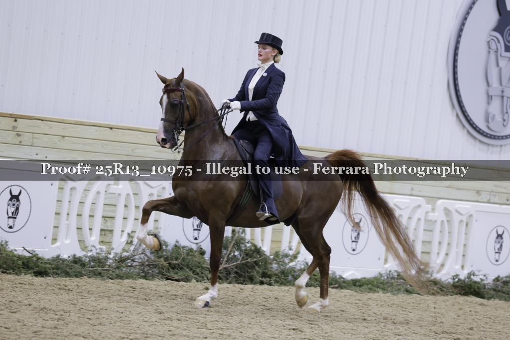 Proof Number 25R13_10975