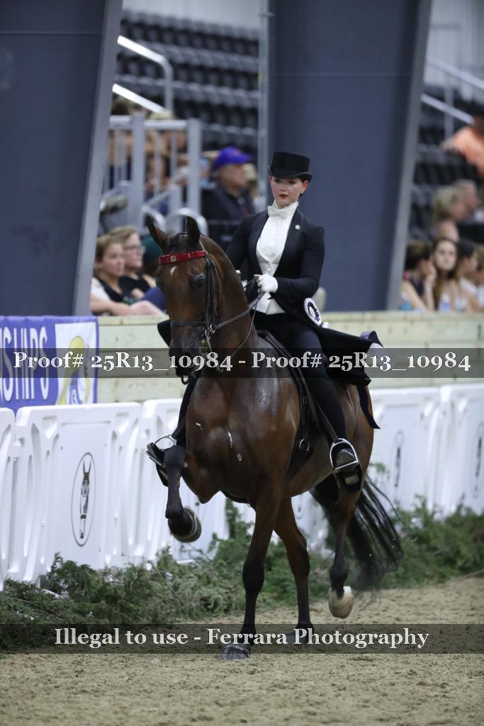Proof Number 25R13_10984