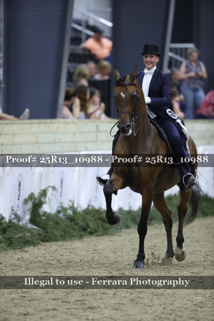 Proof Number 25R13_10988