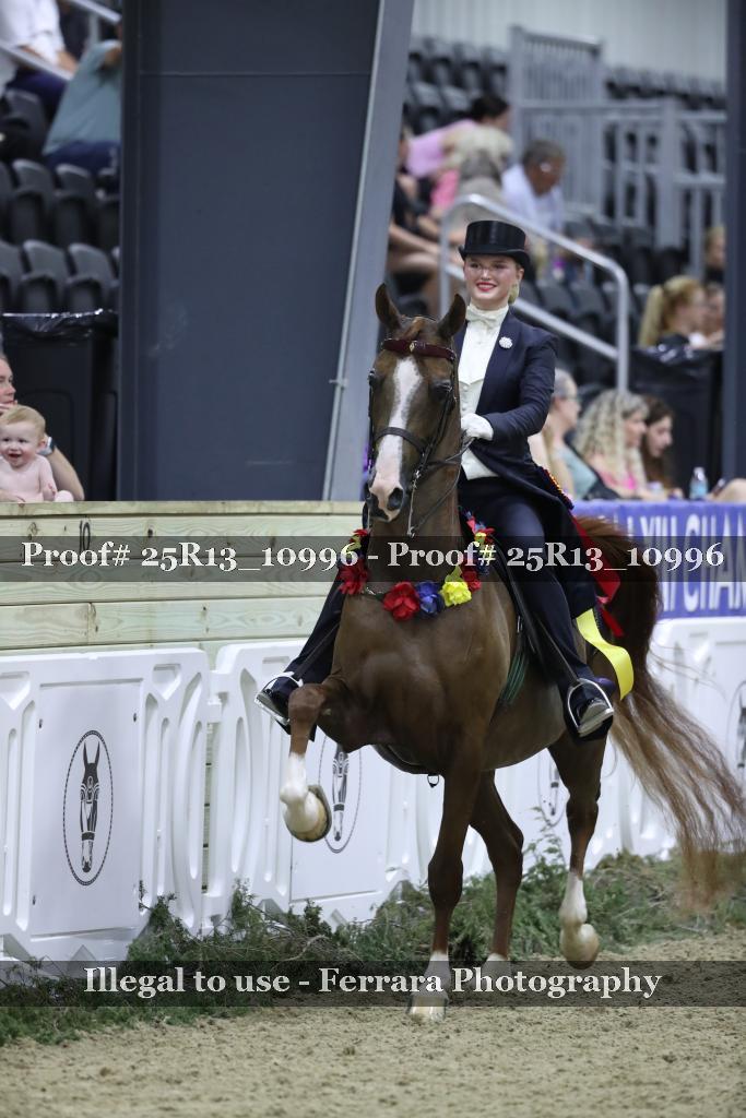 Proof Number 25R13_10996