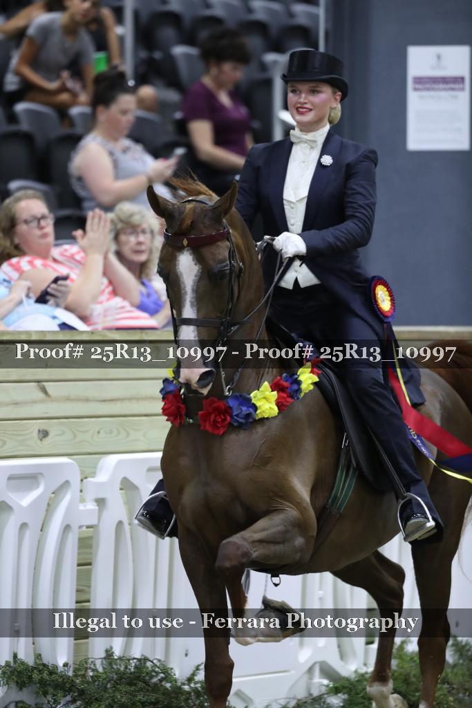 Proof Number 25R13_10997