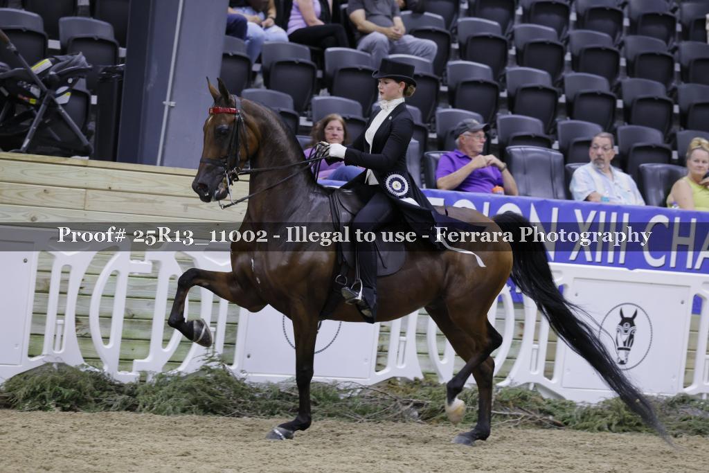 Proof Number 25R13_11002