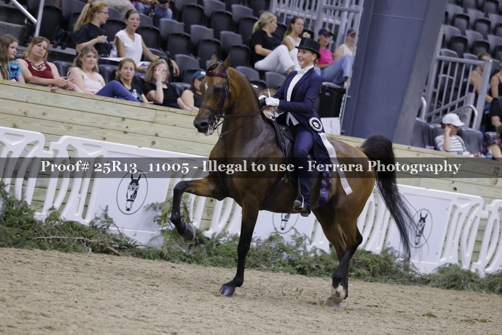Proof Number 25R13_11005
