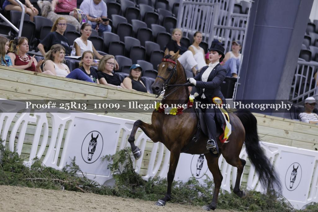 Proof Number 25R13_11009