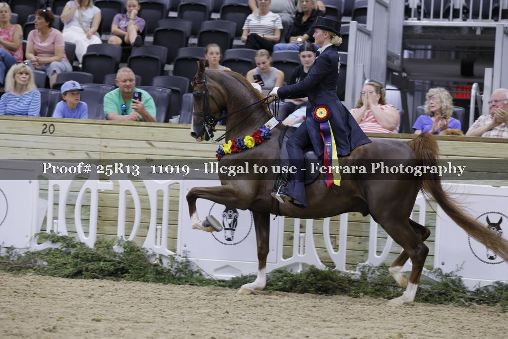 Proof Number 25R13_11019