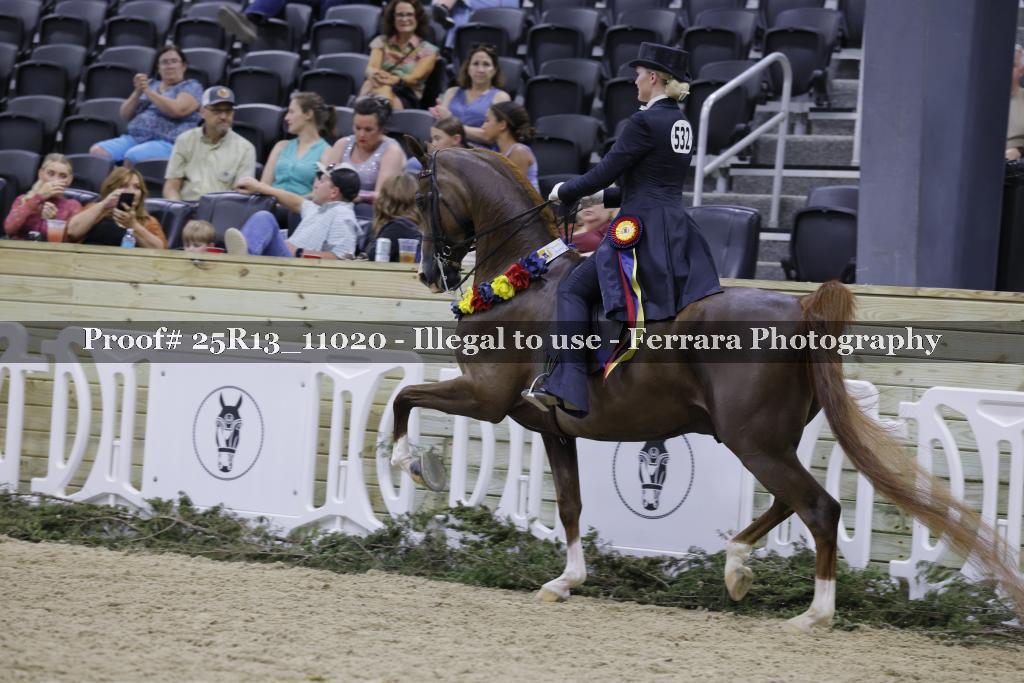 Proof Number 25R13_11020
