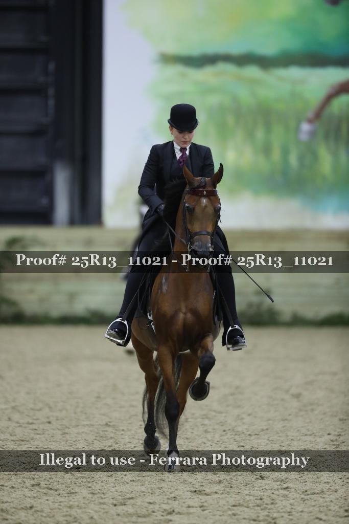 Proof Number 25R13_11021
