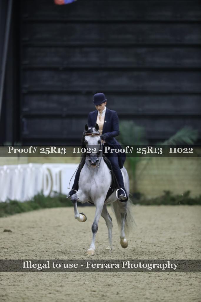 Proof Number 25R13_11022