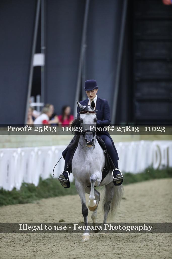 Proof Number 25R13_11023