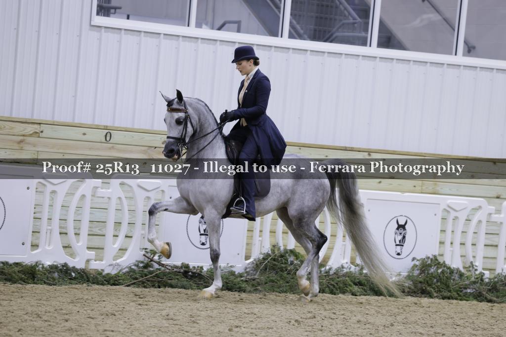 Proof Number 25R13_11027