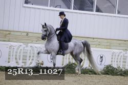 25R13_11027 thumbnail