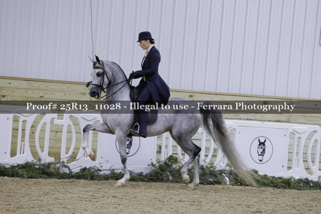 Proof Number 25R13_11028