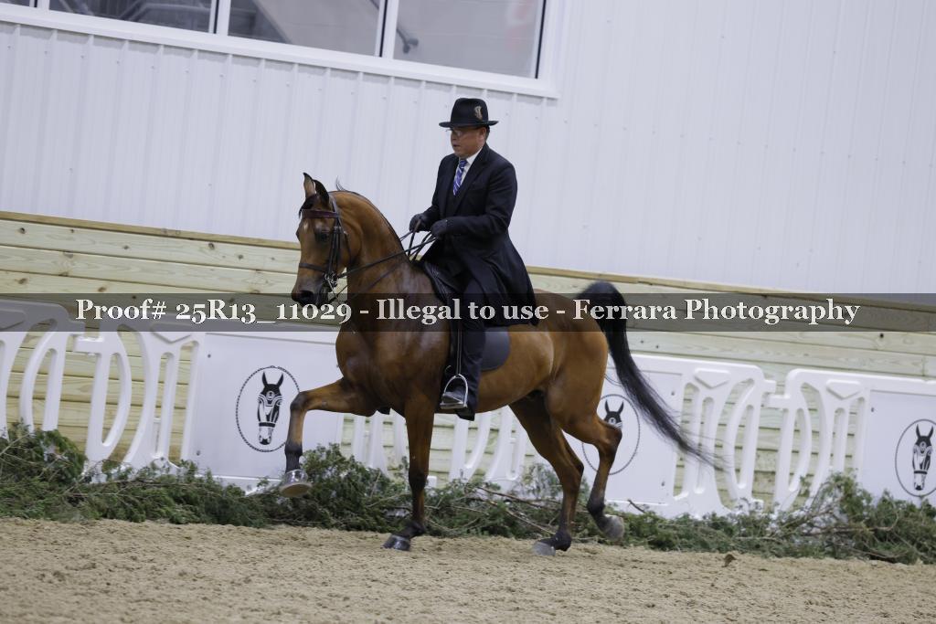 Proof Number 25R13_11029