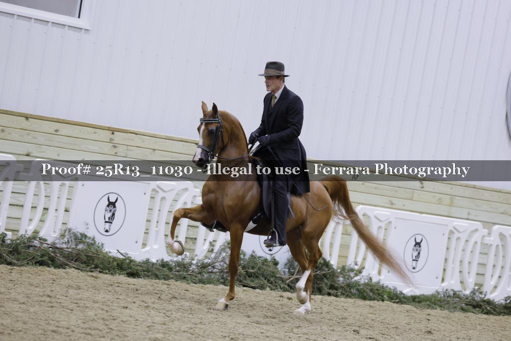 Proof Number 25R13_11030