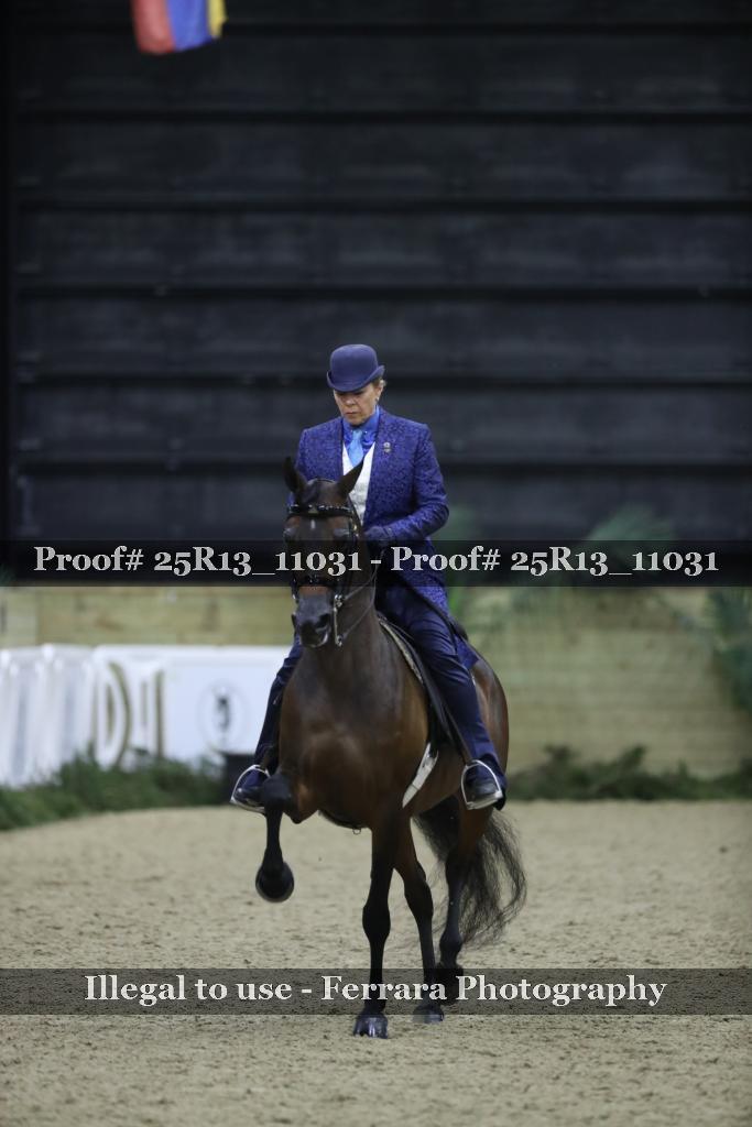 Proof Number 25R13_11031