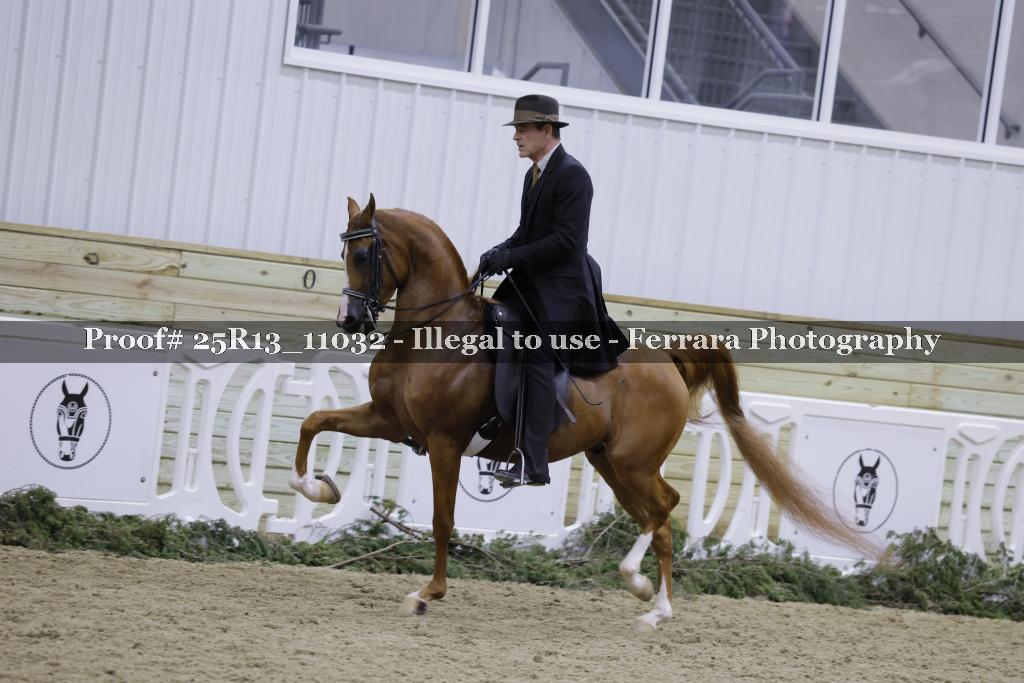 Proof Number 25R13_11032