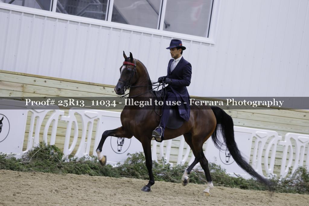Proof Number 25R13_11034