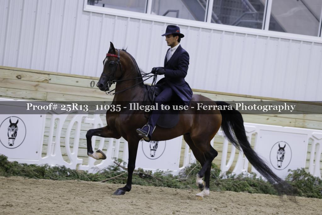 Proof Number 25R13_11035