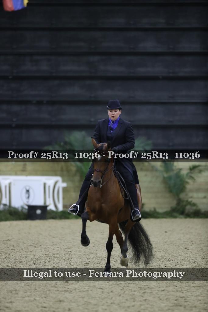 Proof Number 25R13_11036