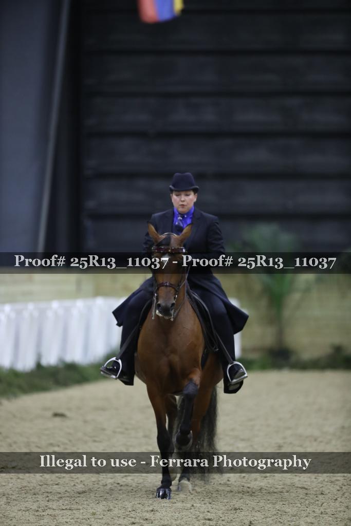 Proof Number 25R13_11037