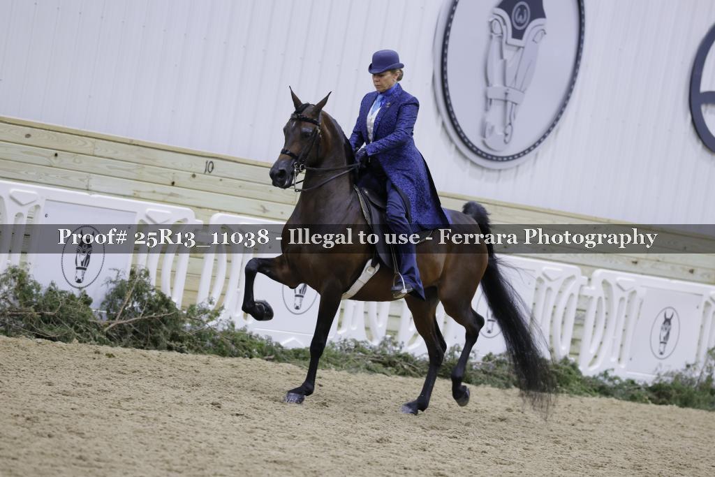 Proof Number 25R13_11038
