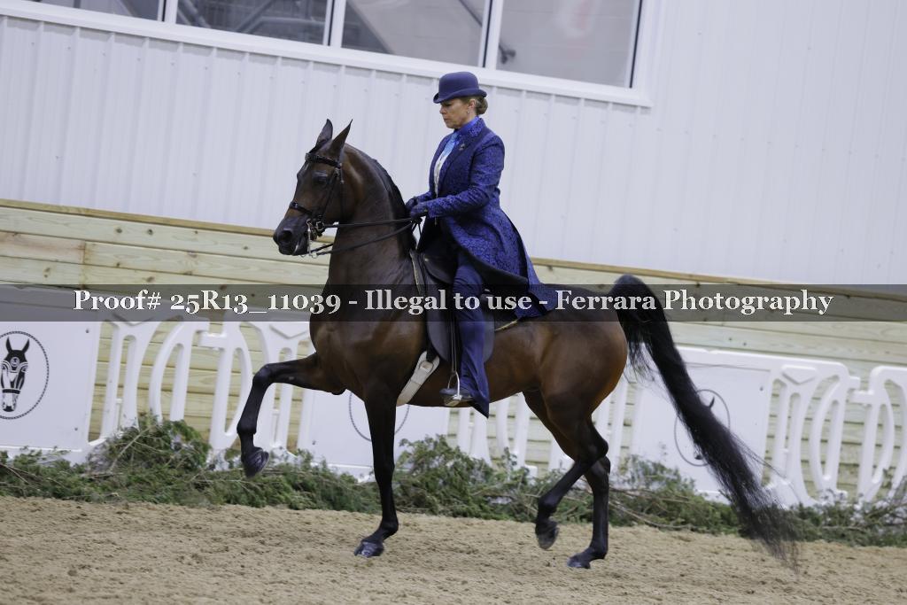 Proof Number 25R13_11039