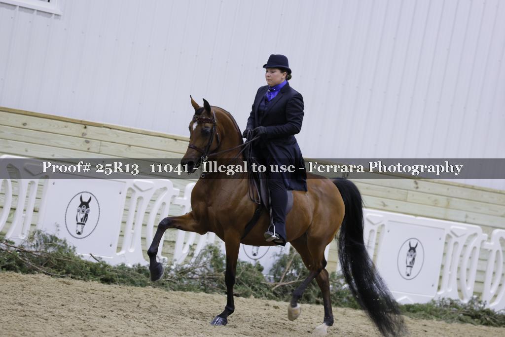 Proof Number 25R13_11041