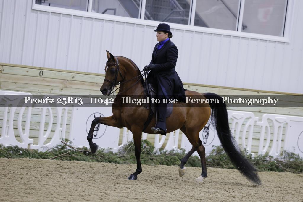 Proof Number 25R13_11042