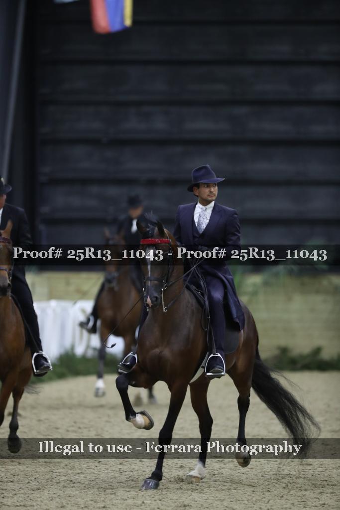 Proof Number 25R13_11043