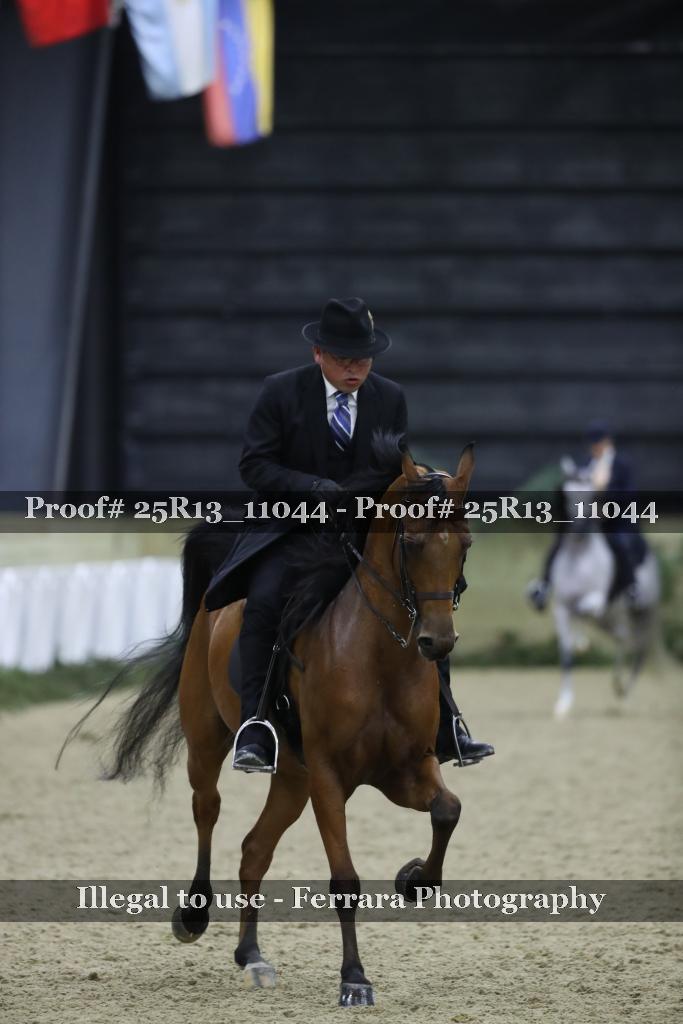 Proof Number 25R13_11044