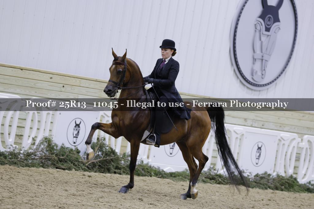 Proof Number 25R13_11045