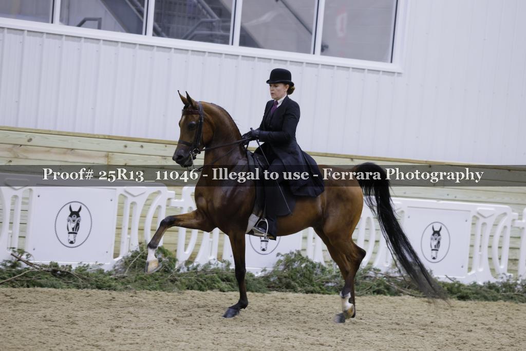 Proof Number 25R13_11046