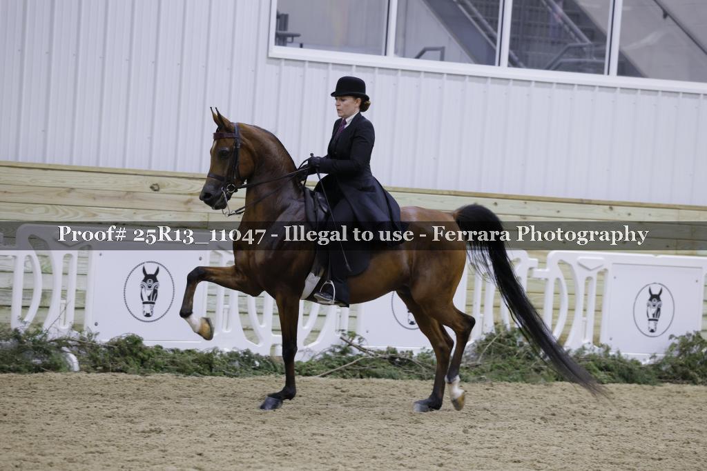 Proof Number 25R13_11047