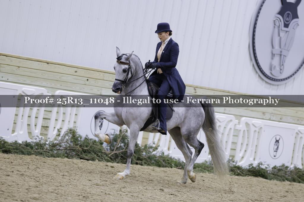 Proof Number 25R13_11048