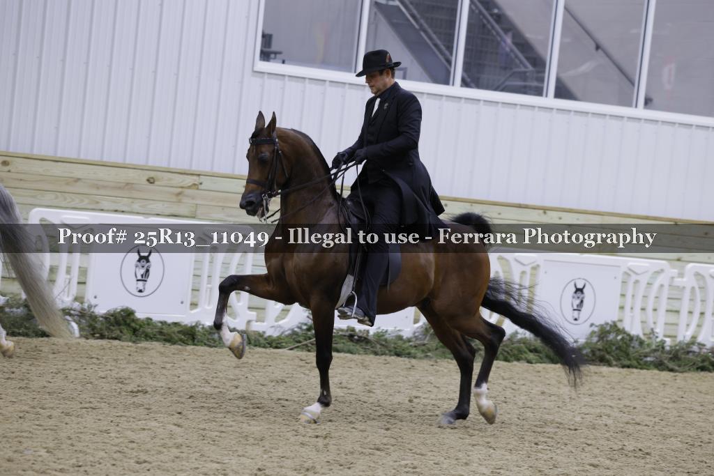 Proof Number 25R13_11049