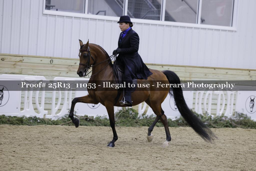 Proof Number 25R13_11053