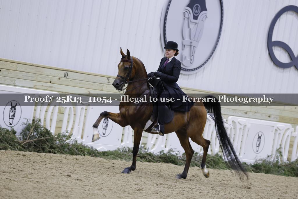 Proof Number 25R13_11054