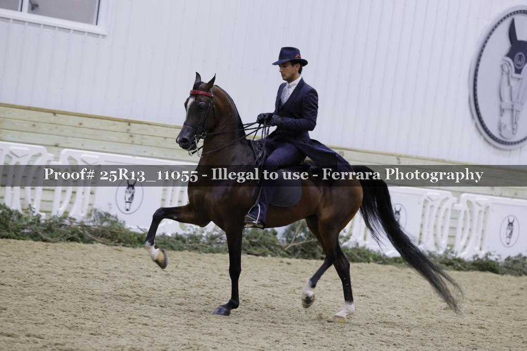 Proof Number 25R13_11055