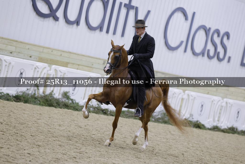 Proof Number 25R13_11056