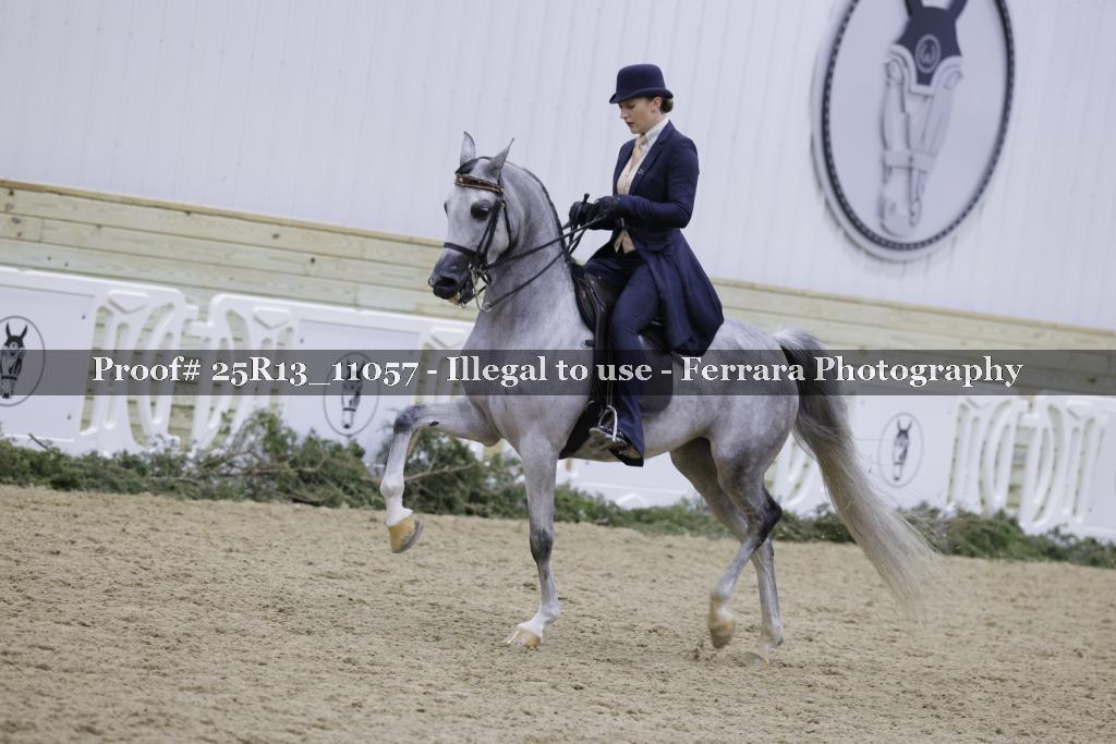 Proof Number 25R13_11057