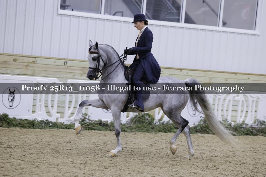 Proof Number 25R13_11058