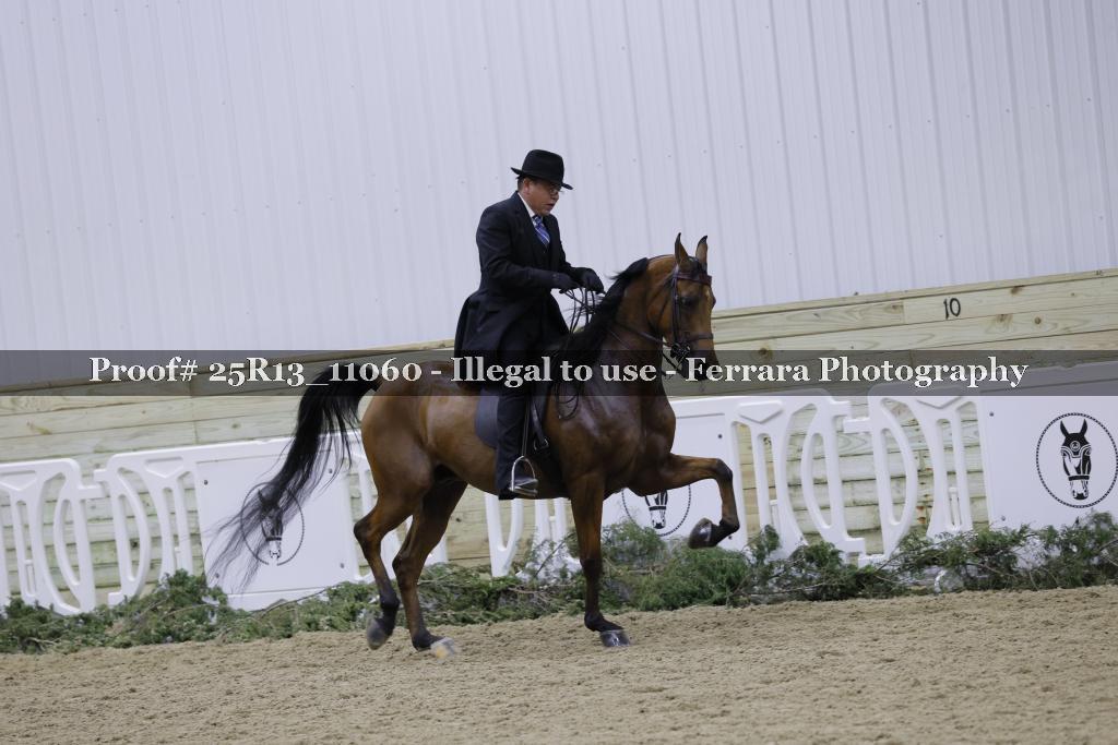 Proof Number 25R13_11060