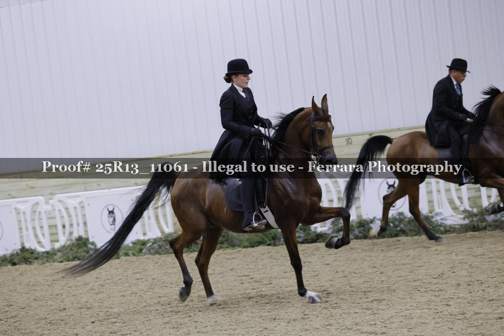 Proof Number 25R13_11061