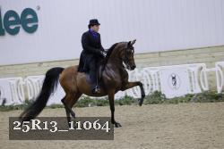 25R13_11064 thumbnail