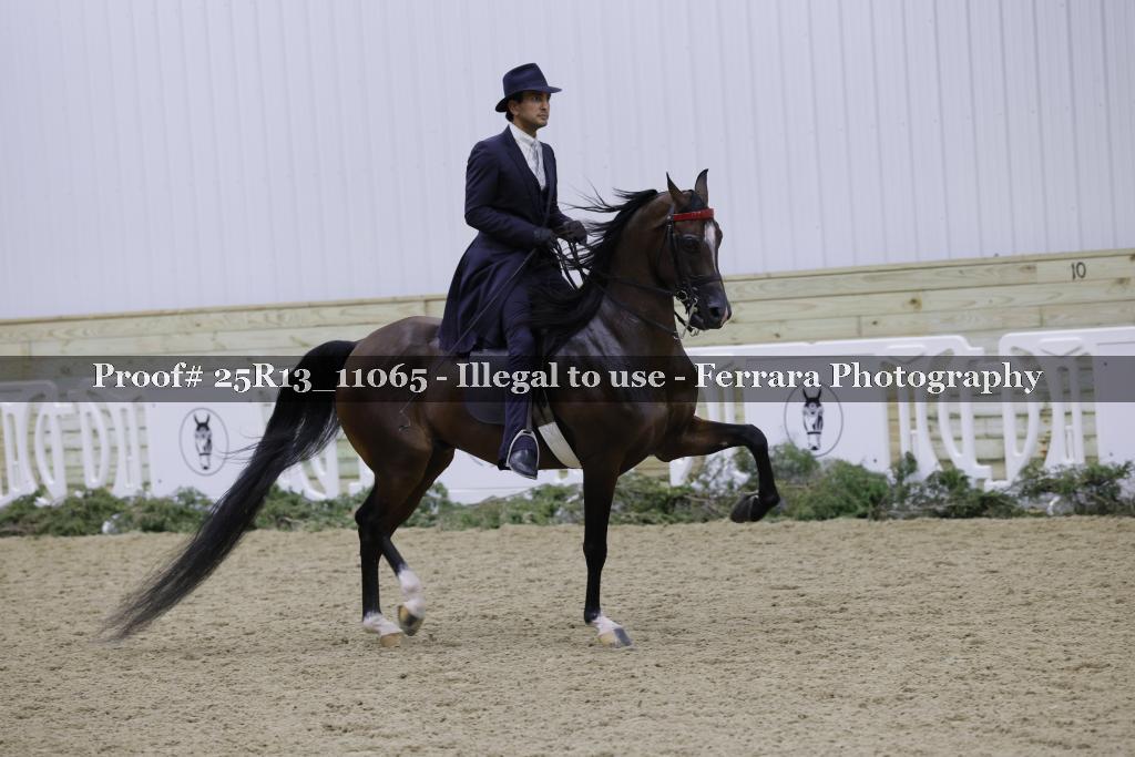 Proof Number 25R13_11065